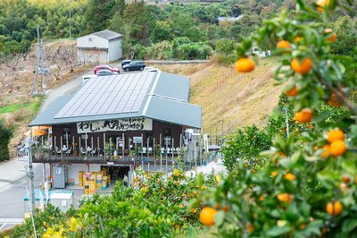 🍓 관음산 프루트 가든/관음산 프루트 팔러 총본점 (칸논야마 후루-츠 가-덴/칸논야마 후루-츠 파-라- 소우혼텐) 이미지 2
